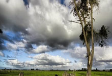 TA:切尔西赛季末再和桑乔谈未来,薪水不是问题&不买断赔500万镑.